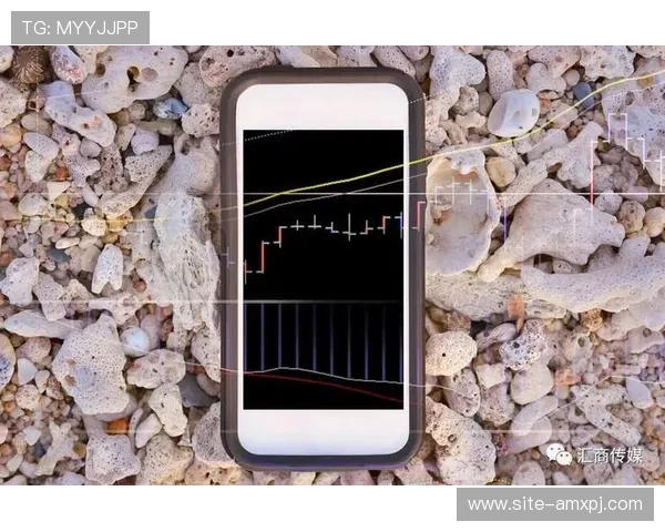 六合彩平台开户成功后如何进行账户管理与资金安全保障