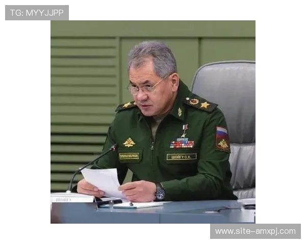 新普京人下载网址2026最新版，提供全面游戏资源和快速下载服务